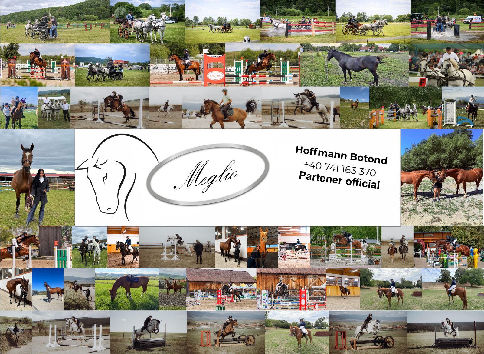 Hofy-horse-feeds