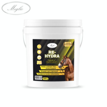  RE-HYDRA ELEKTROLIT ÉS SÓPÓTLÓ LOVAKNAK 4KG